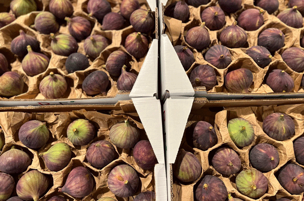 EDEKA Sven Krause, Fehmarn, Blog, Feige, Feigen-Salat, gesunde Ernährung