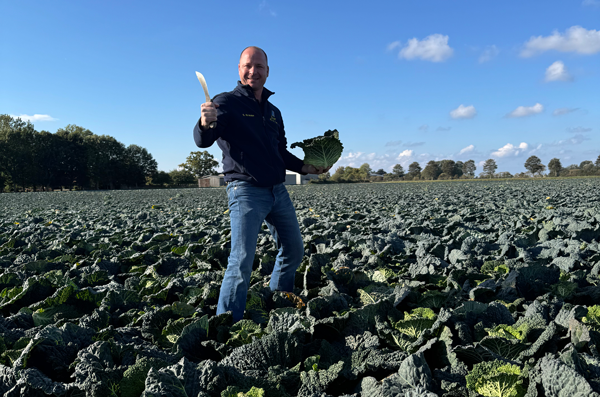 EDEKA Sven Krause, Fehmarn, Blog, Erntedank, Spitzkohl, Kohlrabi, Weißkohl