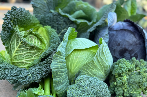 EDEKA Sven Krause, Fehmarn, Blog, Erntedank, Spitzkohl, Kohlrabi, Weißkohl