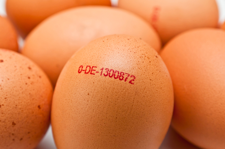 Das Ei übernimmt die Bühne