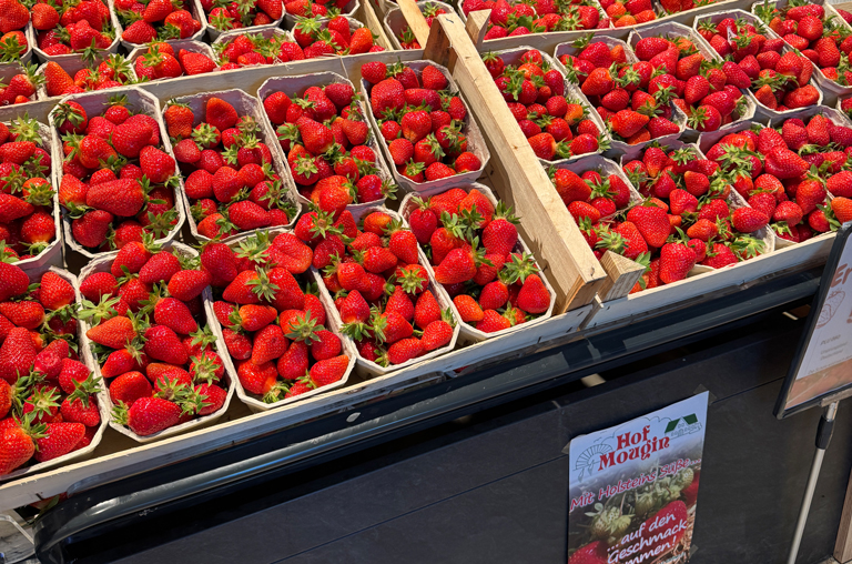 Erdbeeren und Rhabarber