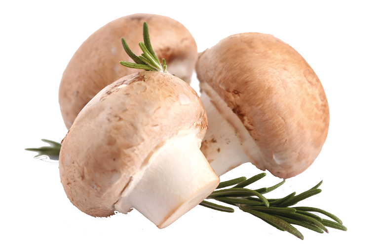 Umami